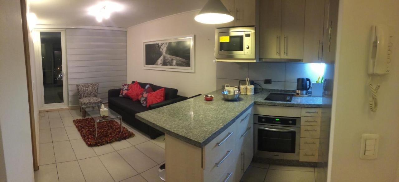 Departamento De Lujo 1 En Barrio Bellavista Apartment Santiago Ngoại thất bức ảnh